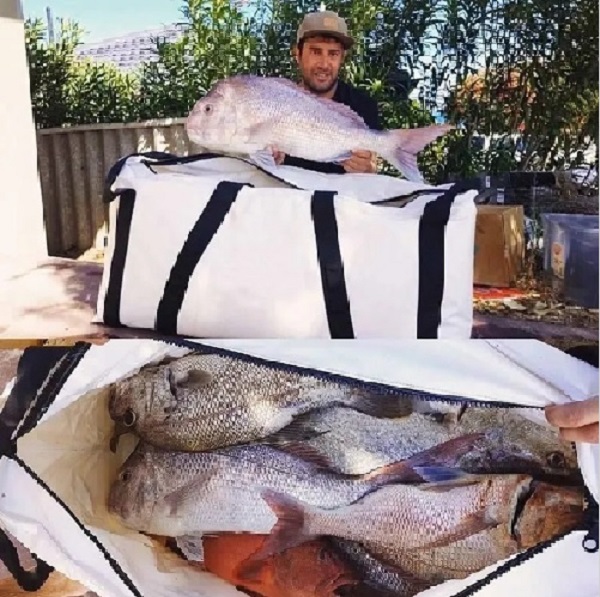 Insulted Fish cooler bag